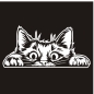 Preview: Auto Aufkleber Katze schaut raus Kätzchen Autoaufkleber clickstick A731