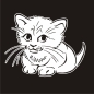 Preview: Katze Kätzchen Autoaufkleber Auto Aufkleber Sticker Tattoo A1216