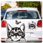 Preview: Katze Kitty Kätzchen Butterfly Pfoten Autoaufkleber Auto Aufkleber Sticker A858