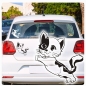 Preview: Katze Kitty Kätzchen Autoaufkleber Auto Aufkleber Sticker A758