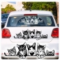 Preview: Katzen Kätzchen Kitty Pfoten Autoaufkleber Auto Aufkleber Sticker A859