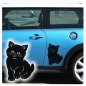 Preview: Katze Katzen Autoaufkleber Aufkleber Sticker A113