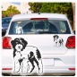 Preview: Hundeaufkleber Lagotto Romagnolo Autoaufkleber A365
