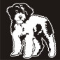 Preview: Hundeaufkleber Lagotto Romagnolo Autoaufkleber A365