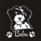 Preview: Hundeaufkleber Lagotto Romagnolo Autoaufkleber A366