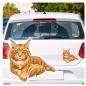 Preview: Autoaufkleber Sticker Maine Coon Katze Auto Aufkleber Digitaldruck DA384