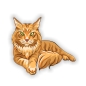 Preview: Autoaufkleber Sticker Maine Coon Katze Auto Aufkleber Digitaldruck DA384