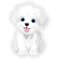 Preview: Malteser Auto Aufkleber Hundeaufkleber Pfoten Hunde Tattoo Digitaldruck DA2003