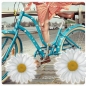 Preview: Fahrradaufkleber Margeriten Blumen Blüten Fahrrad Bike DF001