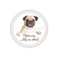 Preview: Autoaufkleber Mops Auto Aufkleber Pug Hund Pfoten Sticker Digitaldruck DA379