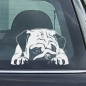 Preview: Mops Auto Aufkleber Autoaufkleber Sticker Pug A4095