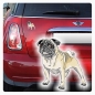 Preview: Autoaufkleber Mops Auto Aufkleber Pug Hund Pfoten Sticker Digitaldruck DA030