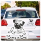 Preview: Auto Aufkleber Mops Pug Name Autoaufkleber Pfoten Wunschname clickstick A4053