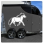 Preview: Island Pony Pferdeanhänger Pferdetransporter Aufkleber Sticker Auto Pferd Pferde PFA029