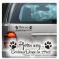 Preview: Pfoten weg... Bordeaux Dogge im Heck Auto Aufkleber Hund Sticker A2057