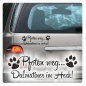 Preview: Auto Aufkleber Pfoten weg... Dalmatiner im Heck Hund Sticker Pfote A4064