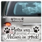 Preview: Pfoten weg... Malinois im Heck Auto Aufkleber Pfoten Autoaufkleber A2003