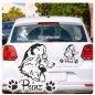 Preview: Hundeaufkleber Pudel Zwergpudel Königspudel Name Auto Aufkleber Sticker A523