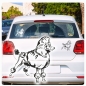 Preview: Hundeaufkleber Pudel Zwergpudel Königspudel Auto Aufkleber Sticker A522