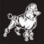 Preview: Hundeaufkleber Pudel Zwergpudel Königspudel Auto Aufkleber Sticker A522