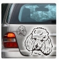 Preview: Pudel Zwergpudel Auto Aufkleber Sticker Hund Pfoten A4100