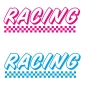 Preview: Racing Flag Auto Aufkleber Sticker Schriftzug A823