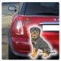 Preview: Autoaufkleber Rottweiler Auto Aufkleber Sticker Digitaldruck DA055