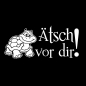 Preview: Ätsch vor dir! Wohnmobil Aufkleber Wohnwagen Caravan Turtle Schildkröte Sticker WoMo009