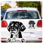 Preview: Schnoodle Name Pfoten Autoaufkleber Auto Aufkleber Sticker A847