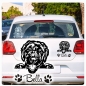 Preview: Schnoodle Name Pfoten Autoaufkleber Auto Aufkleber Sticker A854