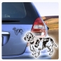 Preview: Auto Aufkleber English Springer Spaniel Autoaufkleber Hund Pfoten clickstick A485