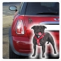 Preview: Autoaufkleber Staffordshire Bull Terrier Auto Aufkleber Hund Digitaldruck  DA411