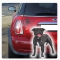 Preview: Auto Aufkleber Staffordshire Bull Terrier Hund Pfoten Sticker Digitaldruck DA524