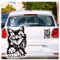 Preview: Tigerkatze Katze Kitty Autoaufkleber Auto Aufkleber Sticker A734