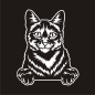 Preview: Tigerkatze Hauskatze Kitty Auto Aufkleber Autoaufkleber Sticker Aufkleber A1048