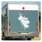 Preview: Schildkröte schaut raus Wohnmobil Aufkleber Wohnwagen Sticker WoMo253