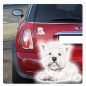 Preview: Autoaufkleber West Highland White Westi Terrier Digitaldruck clickstick DA527