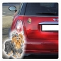 Preview: Auto Aufkleber Yorkshire Terrier Hund Pfoten Sticker Digitaldruck DA532