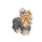 Preview: Auto Aufkleber Yorkshire Terrier Hund Pfoten Sticker Digitaldruck DA532