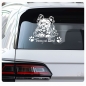 Preview: Yorkshire Terrier Hund Name Aufkleber Auto Yorki Autoaufkleber Sticker A4098