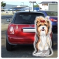 Preview: Digitaldruck Auto Aufkleber Yorkshire Terrier Yorkie Hundeaufkleber Sticker DA300