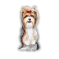 Preview: Digitaldruck Auto Aufkleber Yorkshire Terrier Yorkie Hundeaufkleber Sticker DA300