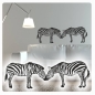 Preview: Zebra Zebras Wandtattoo Wandaufkleber Sticker Afrika W4003