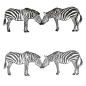 Preview: Zebra Zebras Wandtattoo Wandaufkleber Sticker Afrika W4003