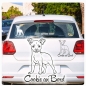 Preview: Auto Aufkleber Chihuahua Name an Bord Autoaufkleber A1303