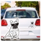 Preview: Auto Aufkleber Französische Bulldogge Cool Sonnenbrille Autoaufkleber Hund Pfoten clickstick A1728