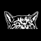 Preview: Wohnmobil Aufkleber neugierige Katze WoMo Caravan Aufkleber Sticker WoMo136