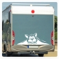 Preview: Wohnmobil Aufkleber neugierige Katze WoMo Caravan Aufkleber Sticker WoMo137