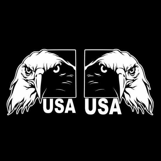 2 er SET Adler Weißkopfseeadler USA Autoaufkleber Auto Aufkleber Sticker A495