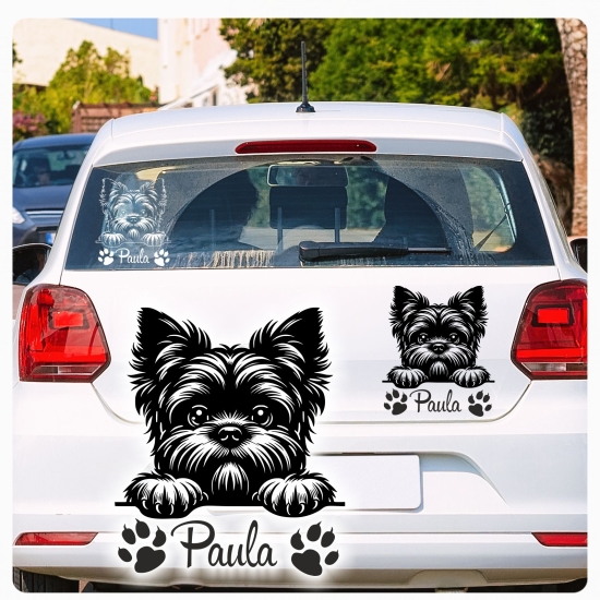 Affenpinscher Autoaufkleber Auto Aufkleber Sticker Hund Pfoten A4241